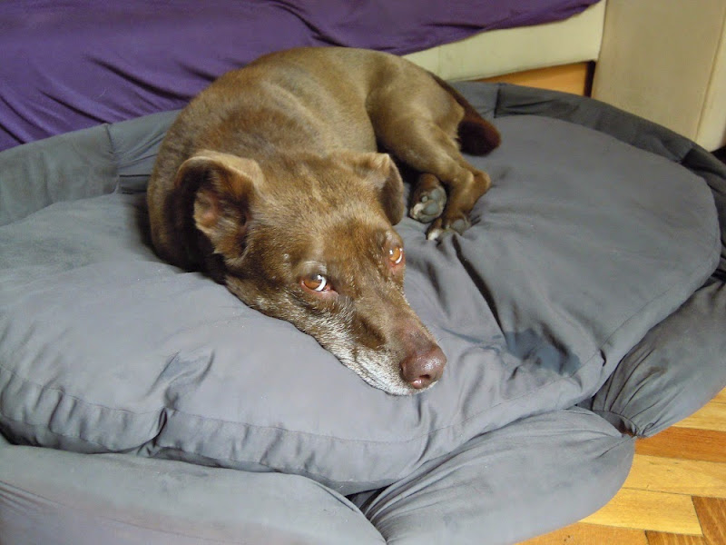 DSCN6629.JPG