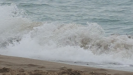 Gava Playa