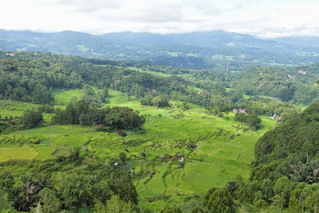 Beautiful view of Rantepao from Batutumonga