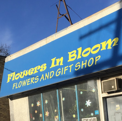 Flowers In Bloom - Winnipeg Florist logo