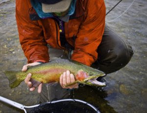 February Fly Fishing in Wyoming
