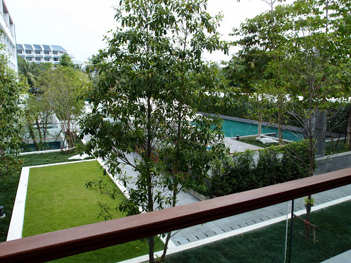 The Nap Patong