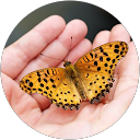 Image Google de KOUDOYOR Christel