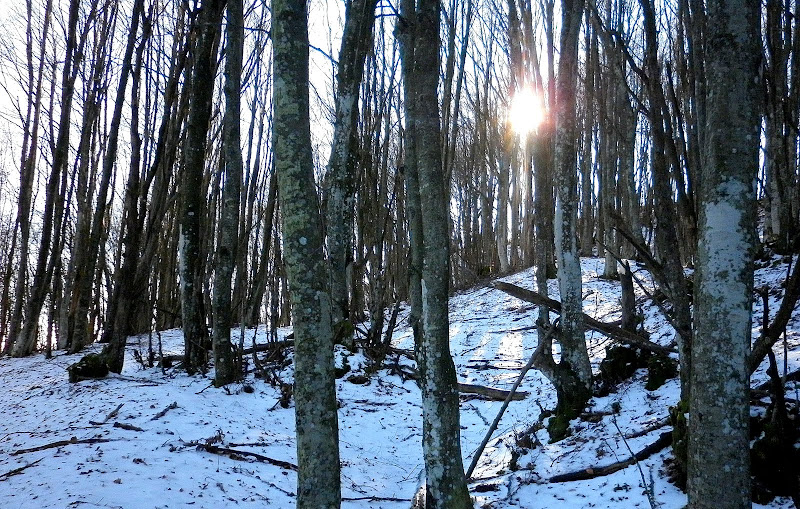 P1000442.JPG