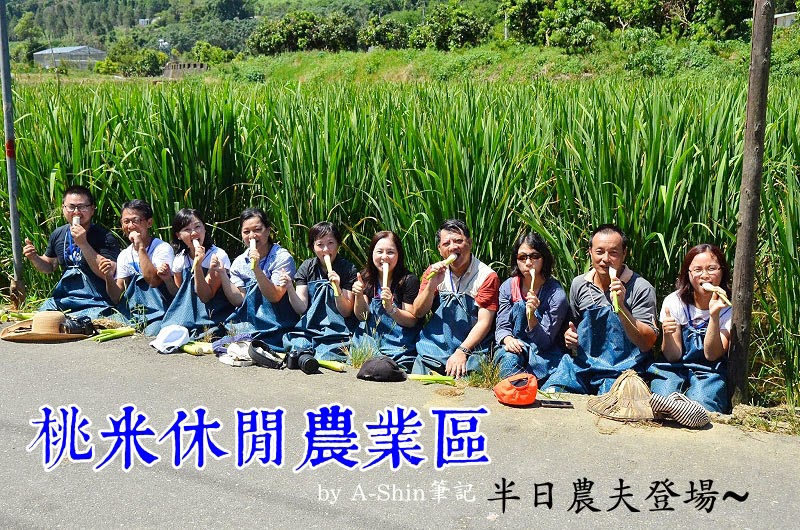 桃米休閒農業區|日頭赤炎炎,決定來當半日農夫體驗採集筊白筍,我在南投埔里桃米休閒農業區。