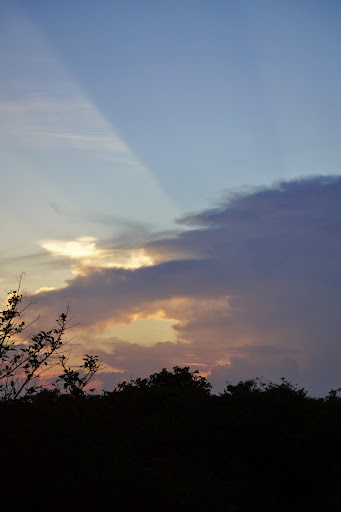 Шри-Ланка: на машине 1 100 км,  фото без комментариев, март-апрель 2013г.