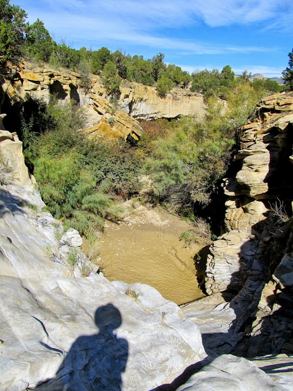 A dryfall with snotty mud below