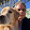 Greg DeMichillie Greg DeMichillie's profile photo