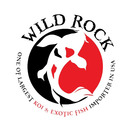 Wild Rock Koi & Exotic Fish Imports logo