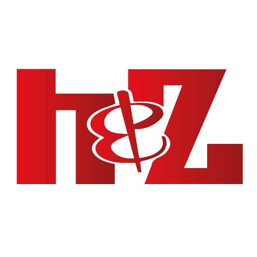 H&Z Store logo