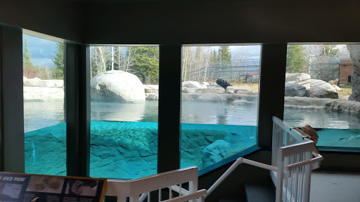 The Cochrane Polar Bear Habitat & Heritage Village
