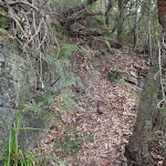 Track up to Lawsons Lookout (146379)