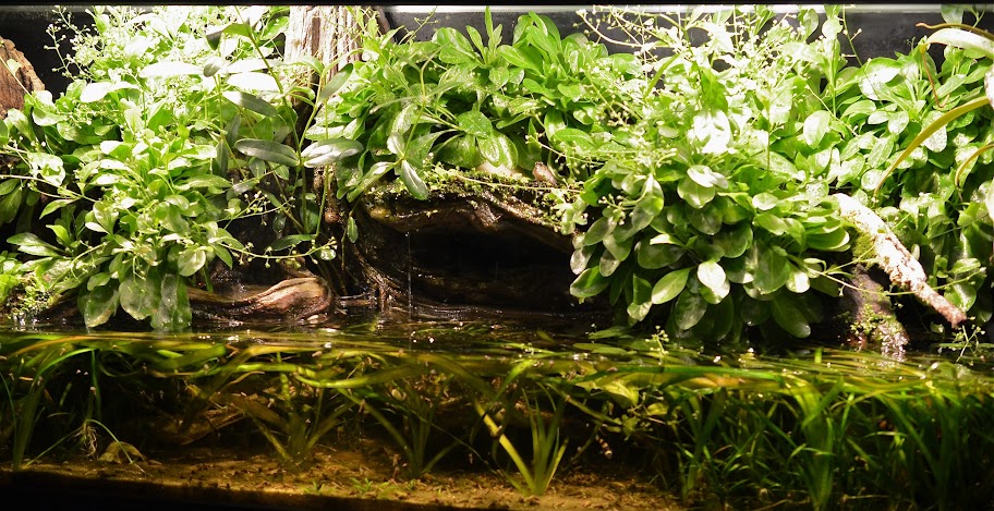 DSC_1629.JPG