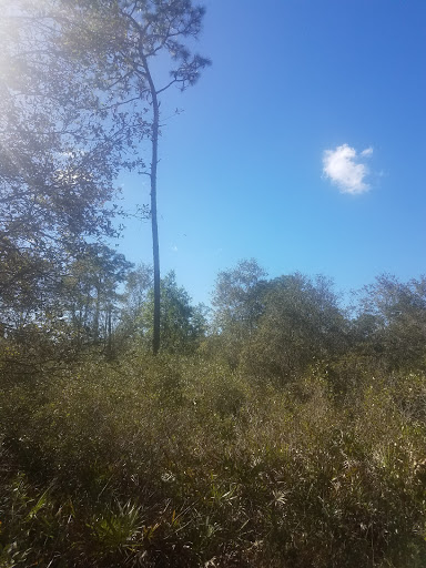 Nature Preserve «Gator Creek Reserve», reviews and photos, 9725 US Hwy 98 N, Lakeland, FL 33809, USA