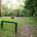 Basin campsite in the Watagans (364952)