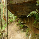Overhang south of Berowra Creek campsite (329141)