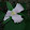 Jodi S Jodi S's profile photo