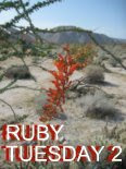 Ruby Tuesday 2