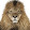 Leo Tiltins Leo Tiltins's profile photo