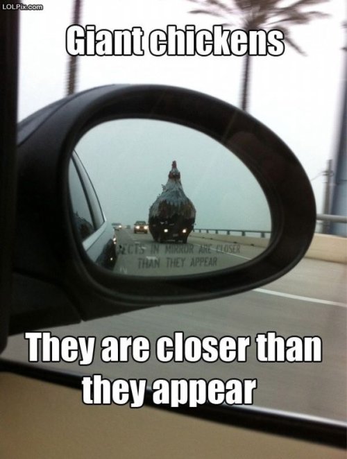 photo of giant chicken in the rear view mirror