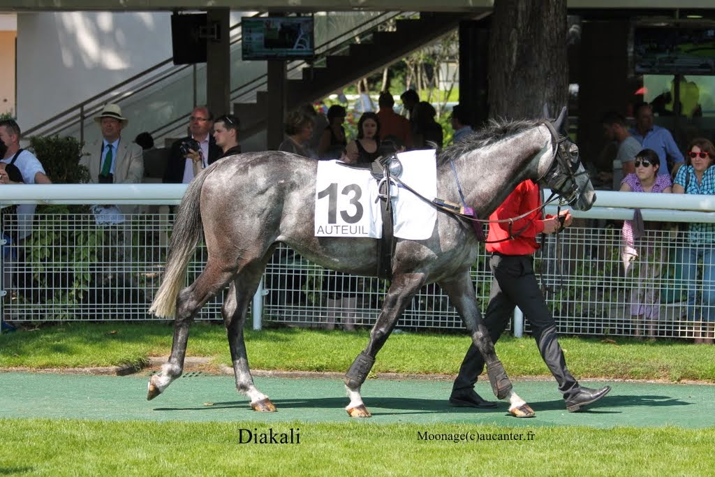 Photos Auteuil 8-06-2014  - Page 2 IMG_1841