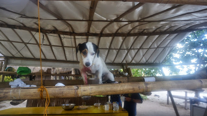 Tao Philippines Expedition Tao Philippines Expedition