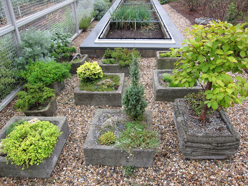 Handmade hypertufa pots near the greenhouse