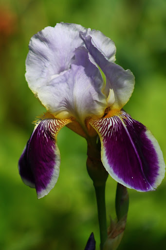 Золотое кольцо Карелии (фото).