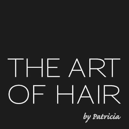 The Art of Hair logo