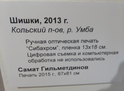Photos of Galereya Yeleny Gromovoy