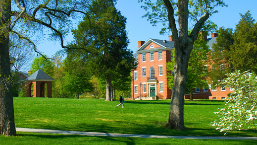Cover photo