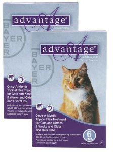  12 MONTH Advantage Purple for cats over 9lbs.