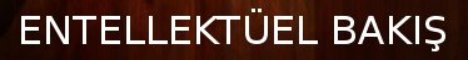 ENTELLEKTÜEL BAKIŞ