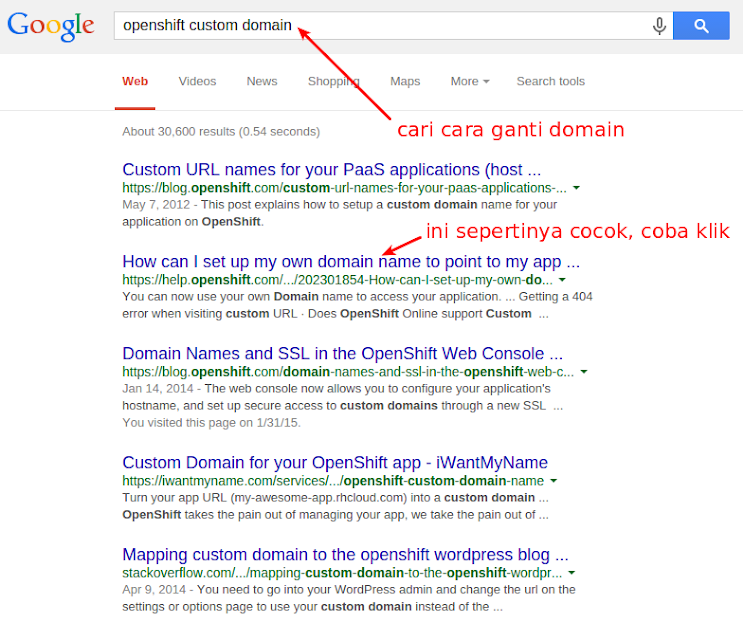 Search Custom Domain Deployment