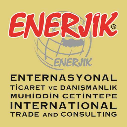 Enerjik Enternasyonal Izmir logo