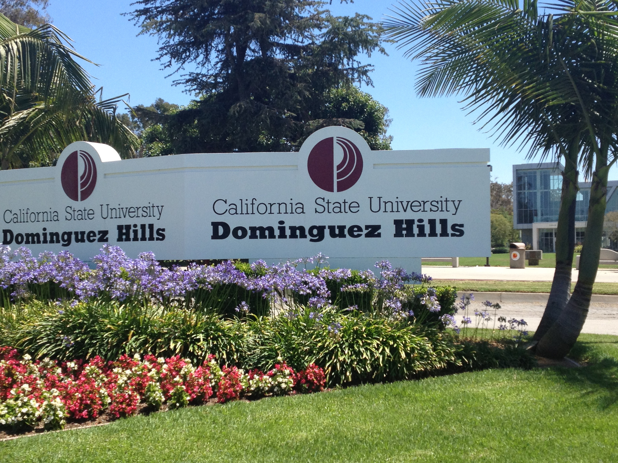 Cal State Dominguez Hills Mba Program