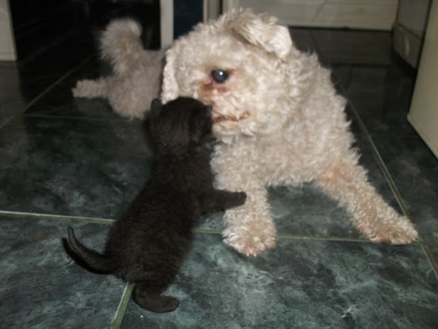 DSCF1919.JPG