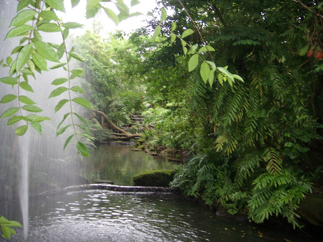 DSCN0226.JPG