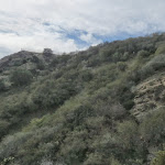 The highest point of our hike was up there The highest point of our hike was up there