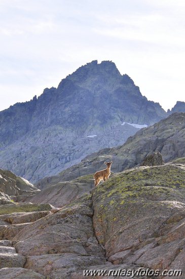 Plataforma de Gredos - Laguna Grande