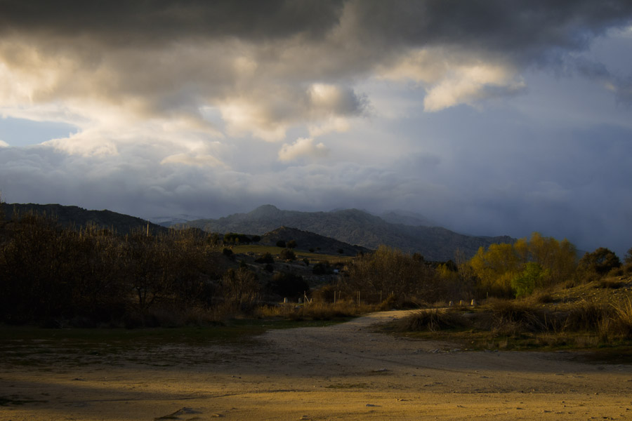 Mordor Pedricero 