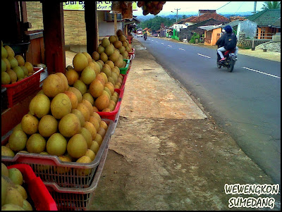 Manis Legit Sawo Sukatali Sumedang