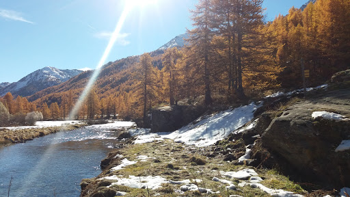 la fruitiere de nevache