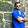 Dhruv Patel Dhruv Patel's profile photo