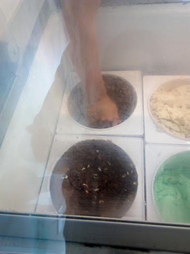 Ice Cream Shop «Baskin-Robbins», reviews and photos, 812 Alamo Dr, Vacaville, CA 95688, USA