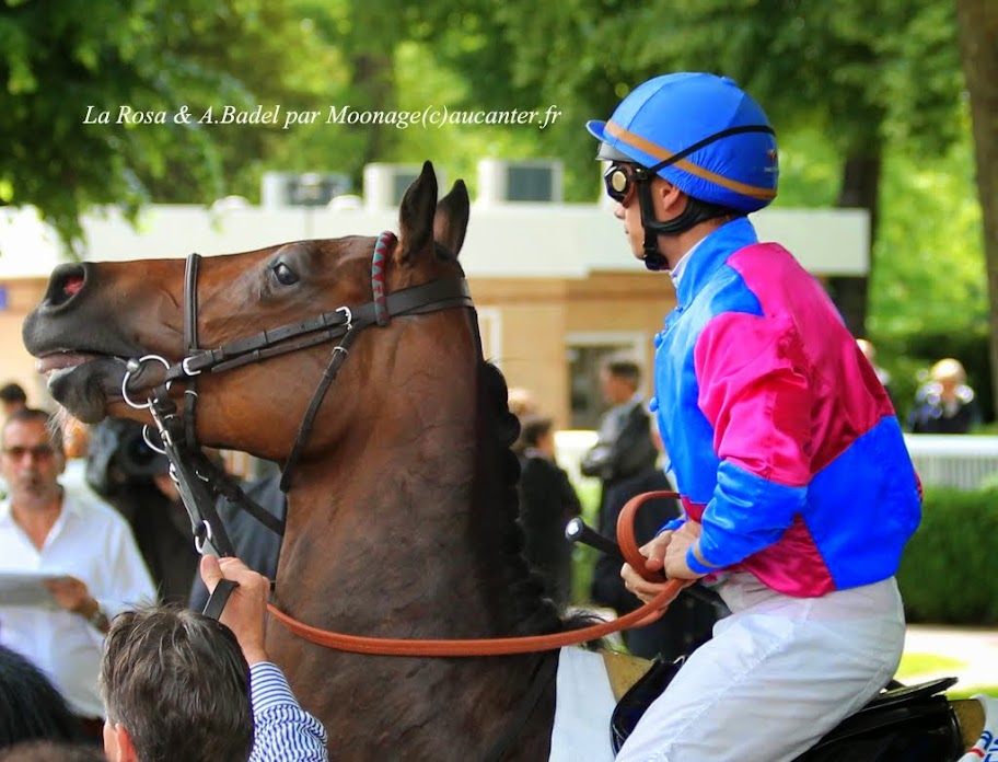 Photos Longchamp 25-05-2014 IMG_1148