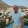 Mehmet Imam Mehmet Imam's profile photo