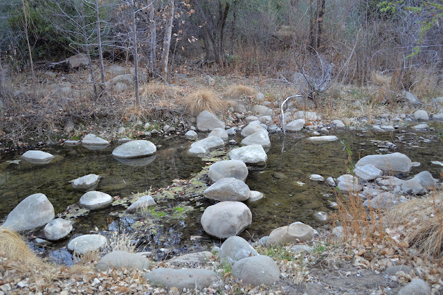 rocks to hop across the river