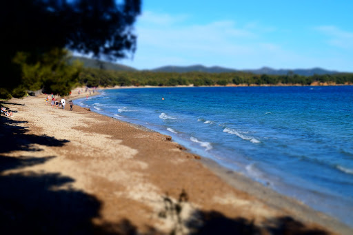 Plage du Pellegrin