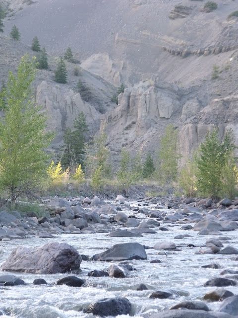 DSCF5290.JPG